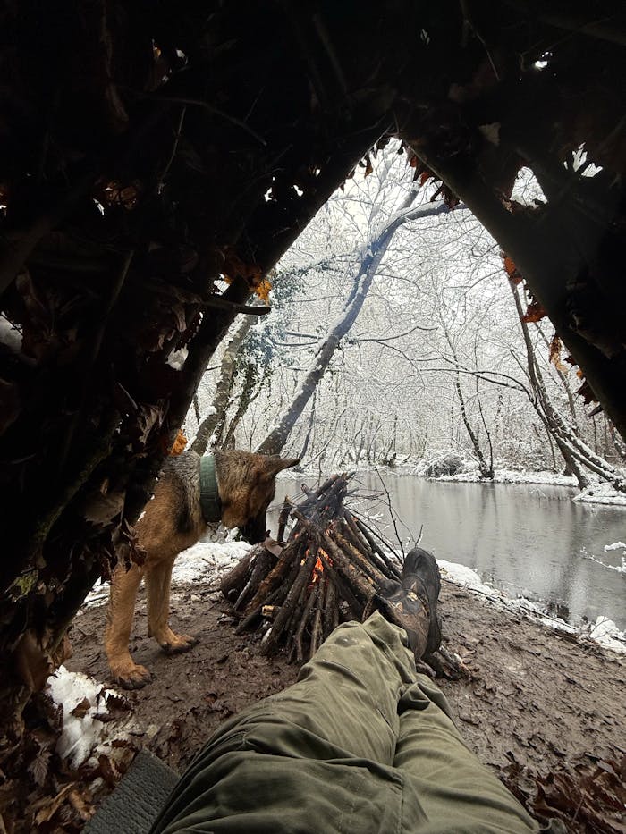 Cozy winter camp setup by a snowy river with a dog.